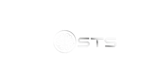 Santiny Tech Solutions Logo